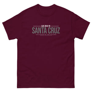 Open image in slideshow, SANTA CRUZ classic tee
